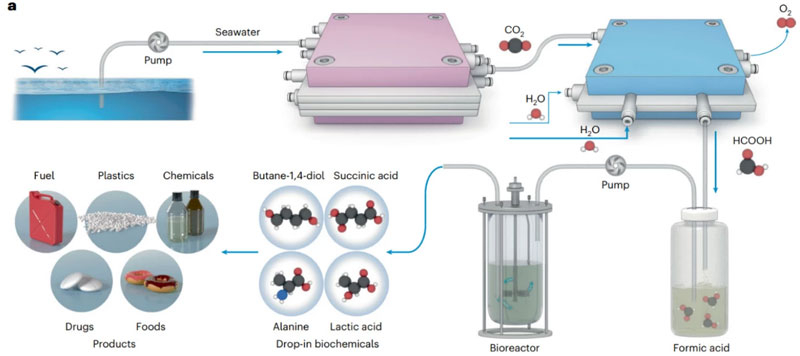 Китайцы модифицировали микробов для превращения CO₂ из морской воды в пластик, продукты и топливо